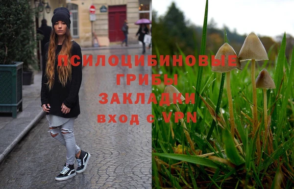 ECSTASY Зеленодольск
