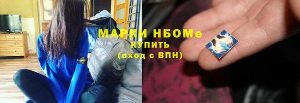 хмурый Новозыбков