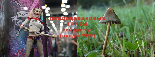 каннабис Зеленокумск