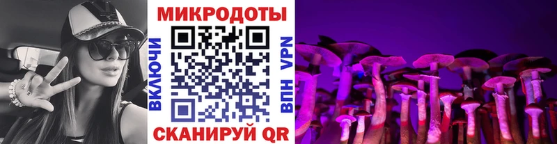 Галлюциногенные грибы Cubensis  купить   mega ссылки  Снежинск 