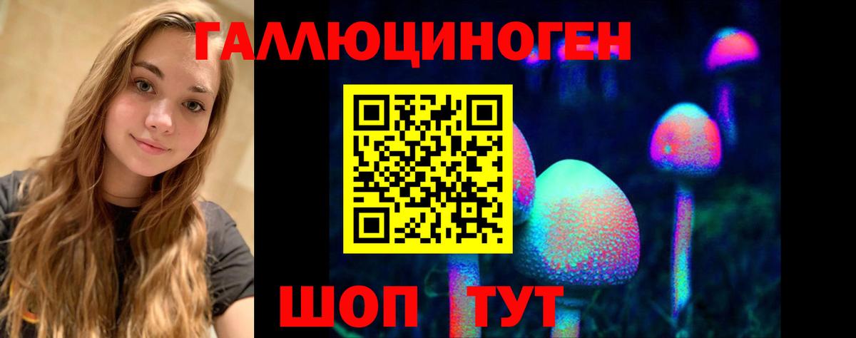 Псилоцибиновые грибы Psilocybe  Вход с VPN  Снежинск 